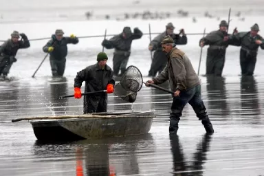 Fishing out Experience in the Czech Republic: Bohemia Fishing out Experience in the Czech Republic: Bohemia