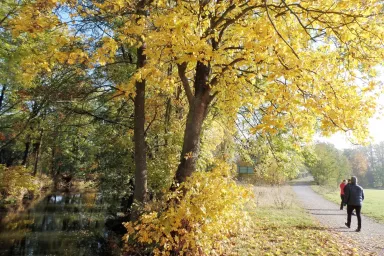 Fauna and Flora in the Czech Republic: Tiding Walk in the Nature Fauna and Flora in the Czech Republic: Tiding Walk in the Nature