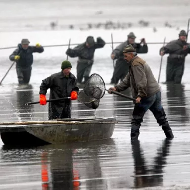 Fishing out Experience in the Czech Republic: Bohemia