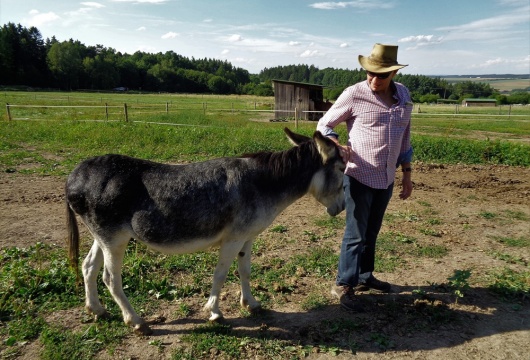 Donkey Pilgrimage in the Czech Republic: Pilsen Region