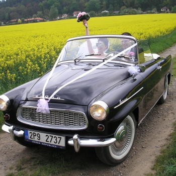 Classic Car Tour and Driving in the Czech Republic: Pilsen Region - SKODA FELICIA black
