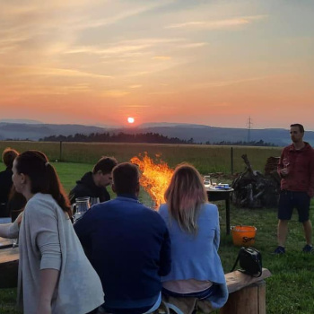 Wine Tasting with Moravian Music in the Czech Republic: in the cellar or among the horses