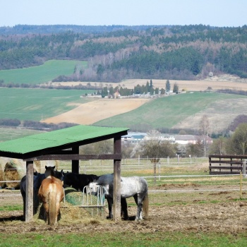 Eselpilgerfahrt in der Tschechischen Republik: Region Pilsen