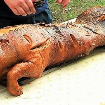Pig Grilling in the Czech Republic: Pilsen Region