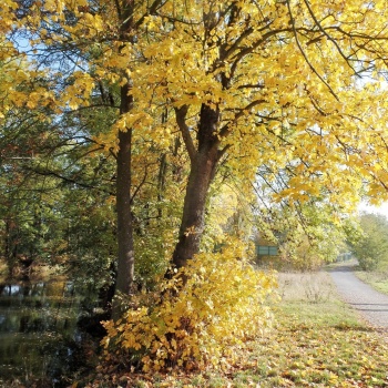 czech-nature-tour-experience-czech-republic