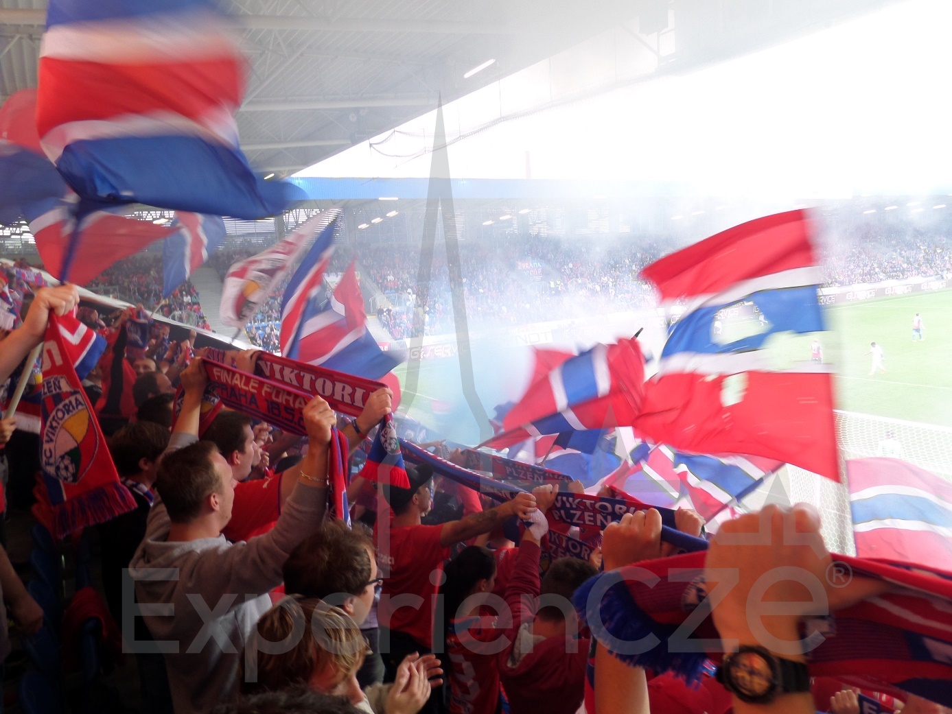 Viktoria plzen hot sale fans