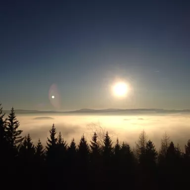 Cannabis Trip: na plantáže za léčivým konopím