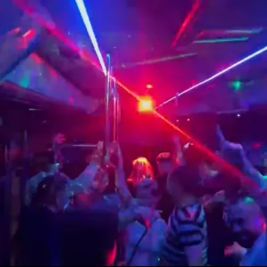 BUS PARTY in the Czech Republic: Pilsen Region