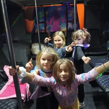 BUS PARTY in the Czech Republic: Pilsen Region