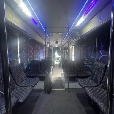 BUS PARTY in the Czech Republic: Pilsen Region