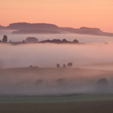 Mountain Track in the Czech Republic: Šumava (Bohemian) Forest